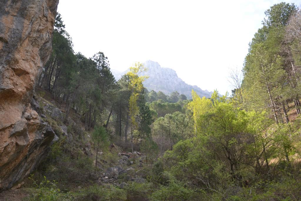 Hotel Balcon De Cazorla Zewnętrze zdjęcie